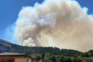15-18.08.2024 Bolu Göynük Orman Yangını