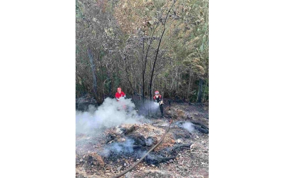 Hendek Güldibi orman yangın vakası