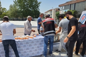 Hayat