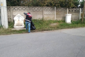 Hayat