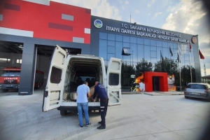 Hayat