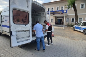 Hayat